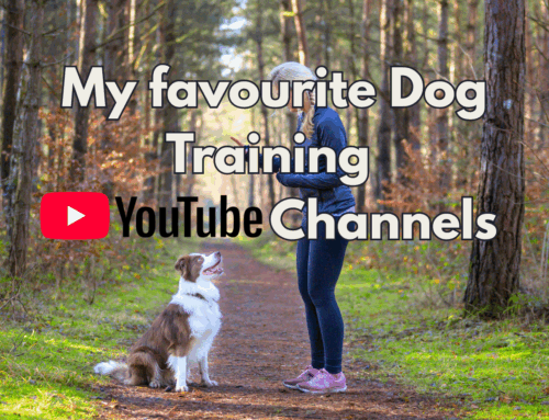 My favourite dog training YouTube channels