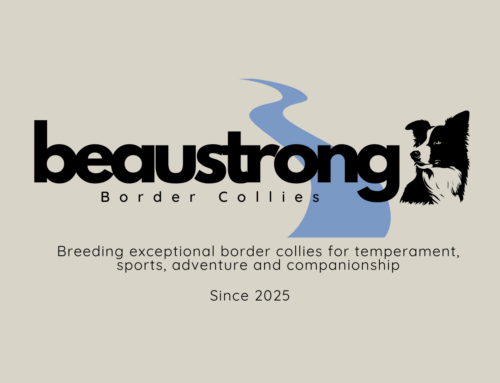 And our kennel name is… 🥁