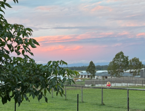 One Year in Queensland: An Honest Broadmeadow Park Update